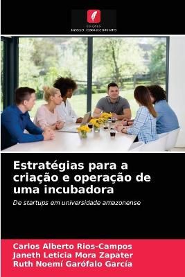 Estratégias para a criação e operação de uma incubadora