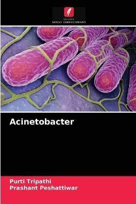 Acinetobacter By Tripathi 9786204055213 (Paperback)