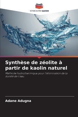 Synthèse De Zéolite À Partir De Kaolin Naturel By Adane Adugna