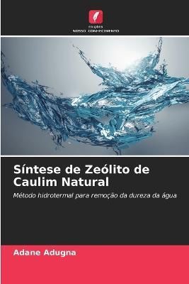 Síntese De Zeólito De Caulim Natural By Adane Adugna 9786205256114