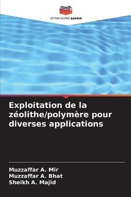 Exploitation De La Zéolithe/polymère Pour Diverses Applications