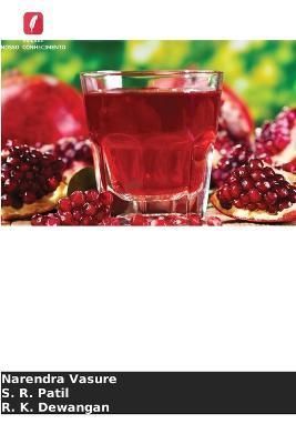 Bebidas à base de romã RTS By Vasure 9786205298725 (Paperback)