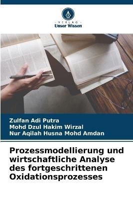 Prozessmodellierung und wirtschaftliche Analyse des fortgeschrittenen Oxidationsprozesses