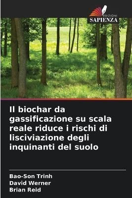 biochar da gassificazione su scala reale riduce i rischi di lisciviazione degli inquinanti del suolo