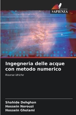 Ingegneria delle acque con metodo numerico By Dehghan 9786205746509