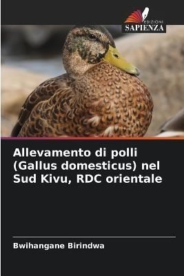 Allevamento di polli (Gallus domesticus) nel Sud Kivu, RDC orientale