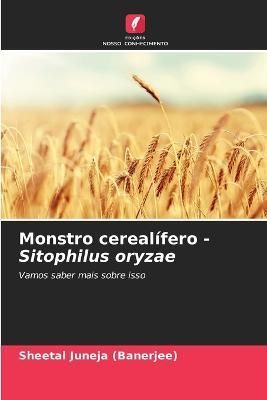 Monstro cerealífero - Sitophilus oryzae By Juneja (Banerjee)