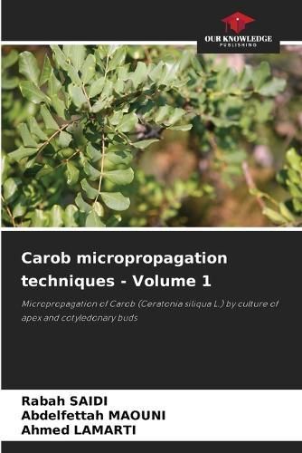 Carob micropropagation techniques - Volume 1 By Saidi 9786205924976