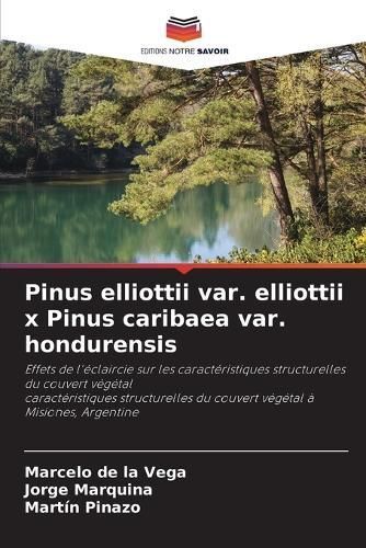 Pinus elliottii var. elliottii x Pinus caribaea var. hondurensis