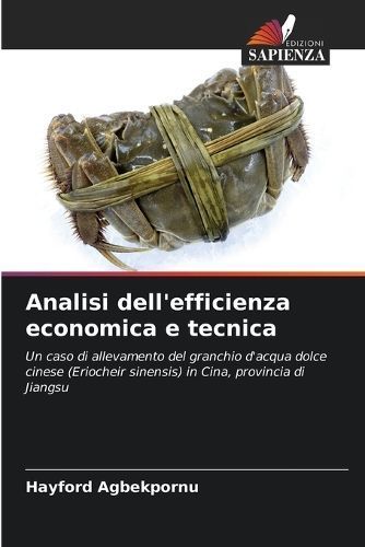 Analisi dell'efficienza economica e tecnica By Agbekpornu (Paperback)