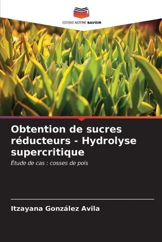 Obtention De Sucres Réducteurs - Hydrolyse Supercritique (Paperback)
