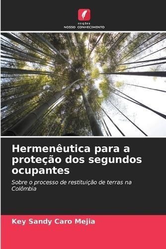 Hermenêutica Para a Proteção Dos Segundos Ocupantes 9786206876182