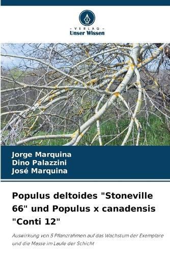 Populus Deltoides "Stoneville 66" Und Populus X Canadensis "Conti 12"