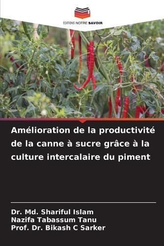 Am?lioration de la productivit? de la canne ? sucre gr?ce ? la culture intercalaire du piment