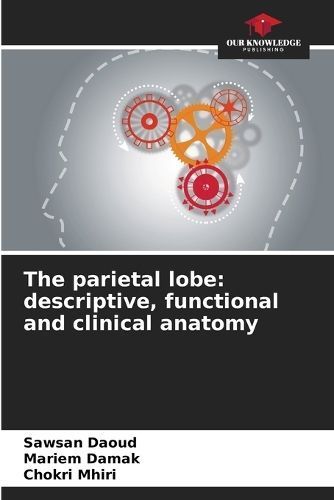 parietal lobe By Daoud 9786207207299 (Paperback)
