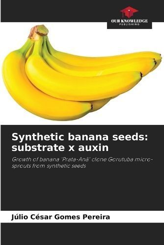 Synthetic Banana Seeds By Júlio César Gomes Pereira 9786207301966