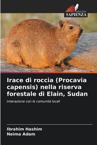 Irace Di Roccia (Procavia Capensis) Nella Riserva Forestale Di Elain, Sudan