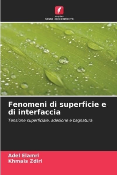 Fenomeni Di Superficie E Di Interfaccia By Adel Elamri, Khmais Zdiri