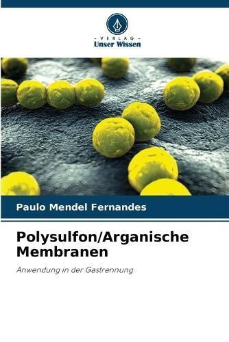 Polysulfon/Arganische Membranen By Paulo Mendel Fernandes (Paperback)