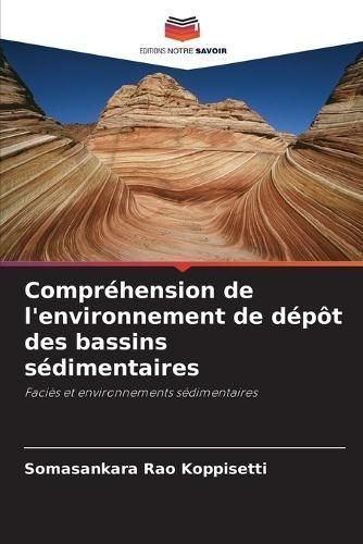 Compréhension De L'environnement De Dépôt Des Bassins Sédimentaires