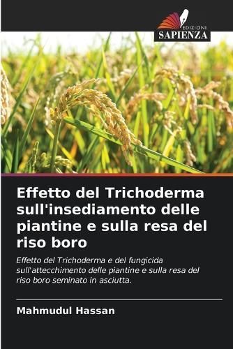 Effetto Del Trichoderma Sull'insediamento Delle Piantine E Sulla Resa Del Riso Boro