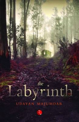 Labyrinth By Majumdar Udayan 9788129124166 (Paperback)
