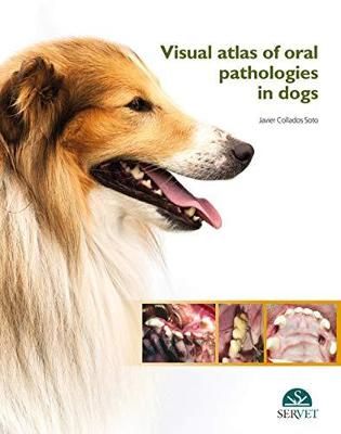 Visual Atlas of Oral Pathologies in Dogs By Javier Collados Soto