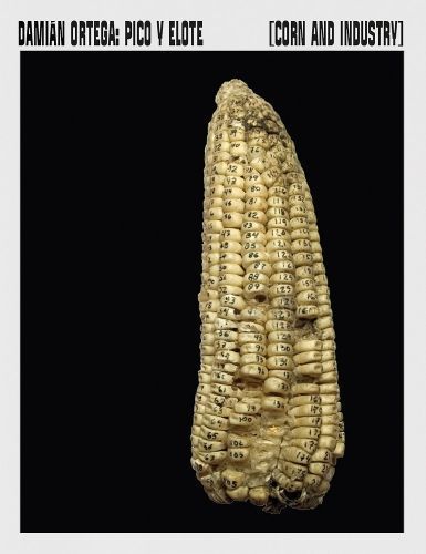 Corn and Industry By Damian Ortega 9788419233707 (Paperback)