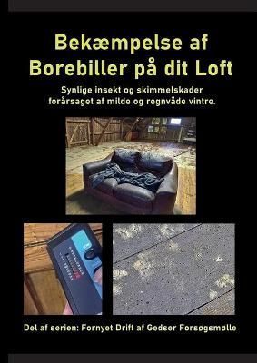 Bekæmpelse af Borebiller på dit Loft By Ahrenkiel 9788743046356