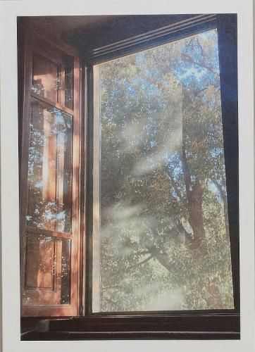 In Constant Hilarity 9788797195673 (Paperback)