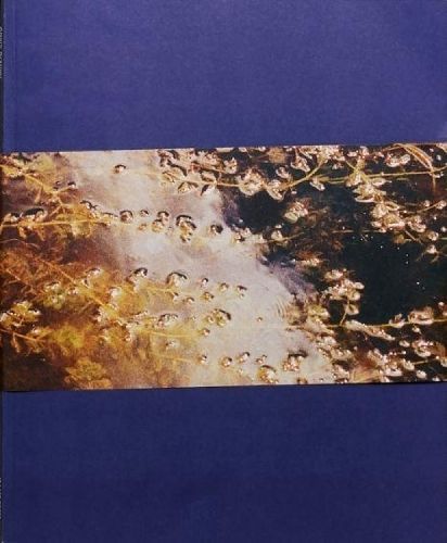Gates to the Garden By Adam Kremer 9788799966721 (Paperback)