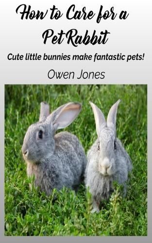 How To Care For A Pet Rabbit By Owen Jones 9788835457749 (Paperback)