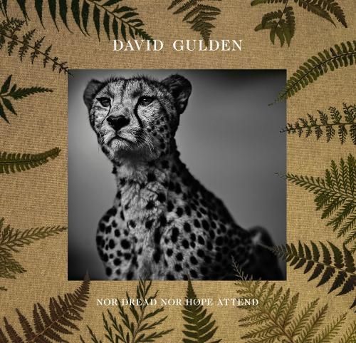 David Gulden: Nor Dread Nor Hope Attend By David Gulden 9788862087193