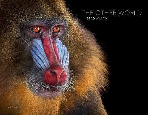 The Other World By Brad Wilson 9788862087476 (Hardback)