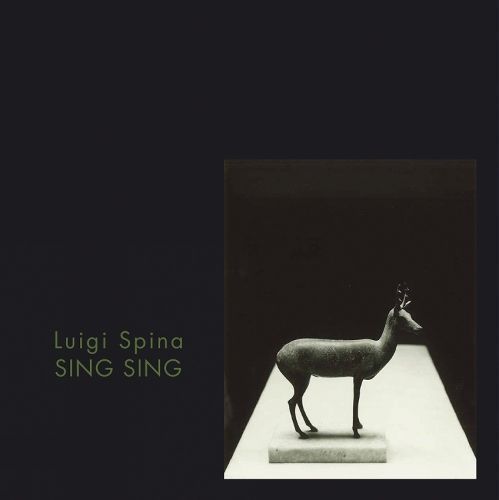 Sing Sing. Pompeii's Body By Luigi Spina (photographer) 9788874399161