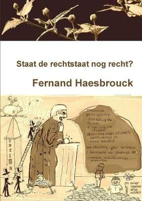 Staat de rechtstaat nog recht? By Haesbrouck, Fernand 9789081521338