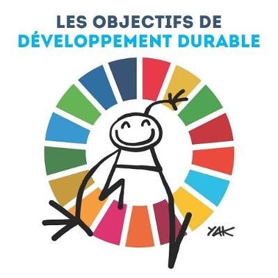 Les Objectifs De Développement Durable 9789210011341 (Paperback)