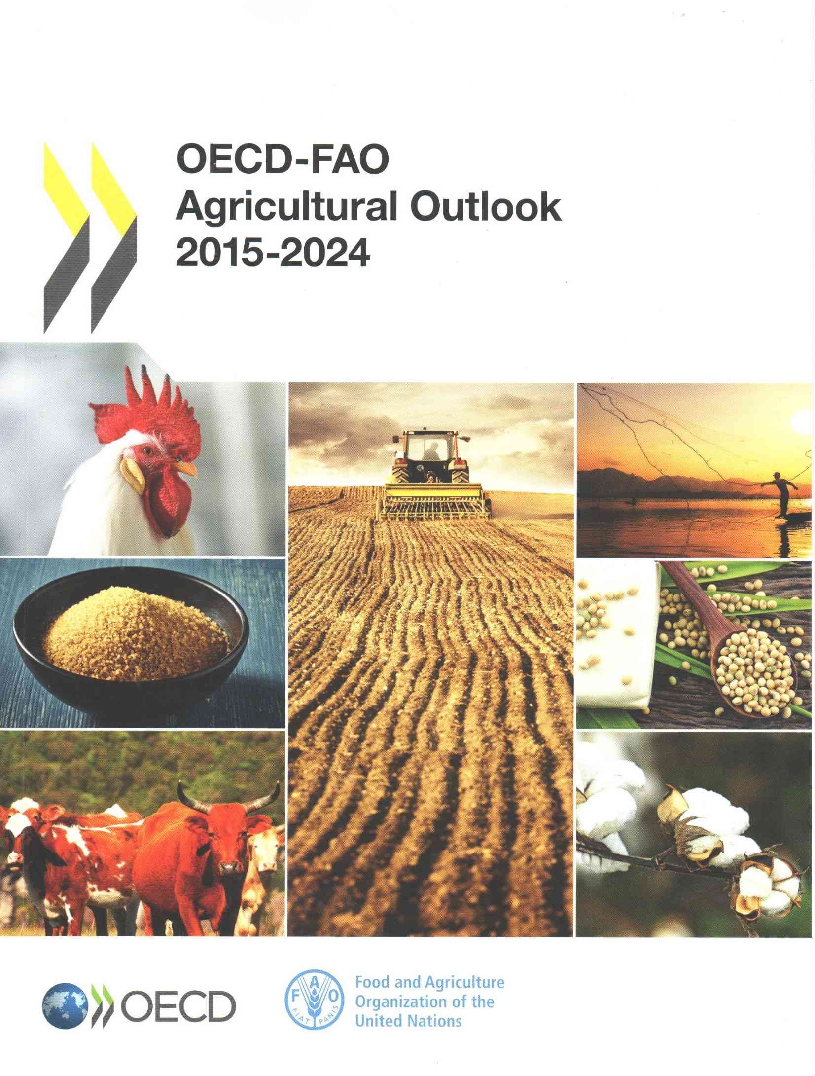 OECD-FAO Agricultural Outlook 9789264231900 (Paperback)