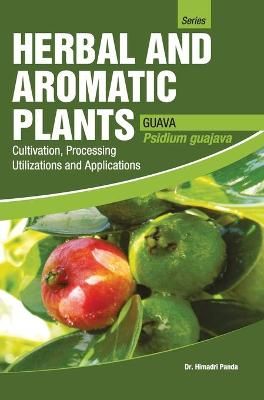 Herbal and Aromatic Plants Psidium Guajava (Guava) By Himadri Panda