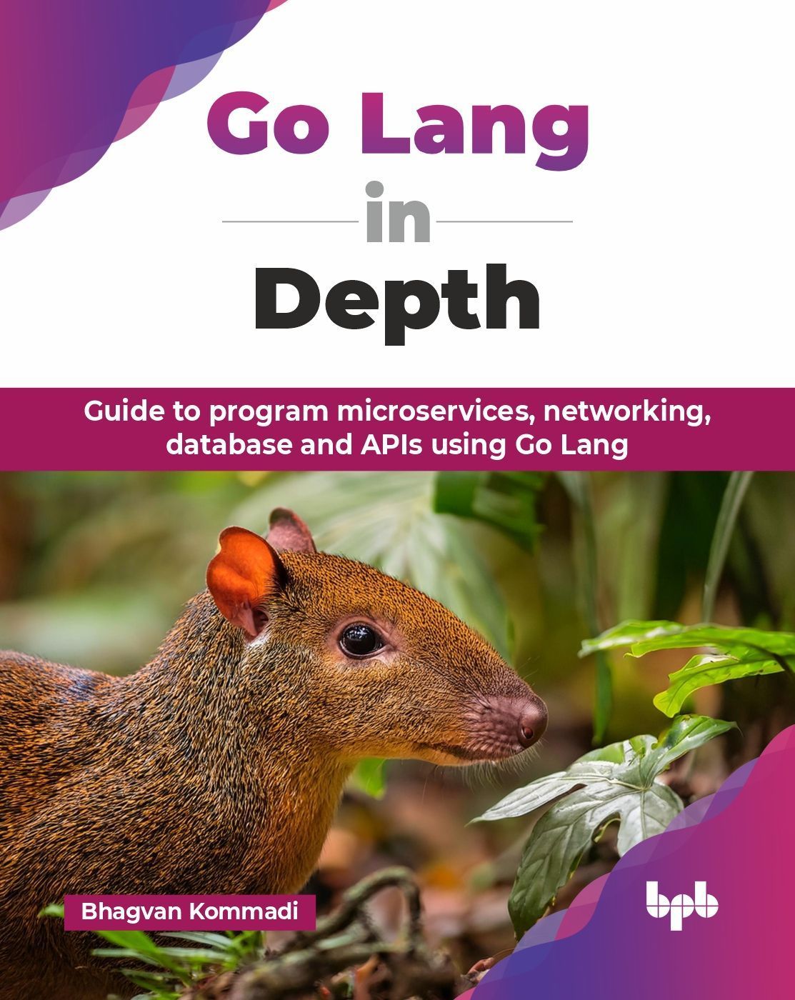 Go Lang in Depth By Bhagvan Kommadi 9789365894806 (Paperback)
