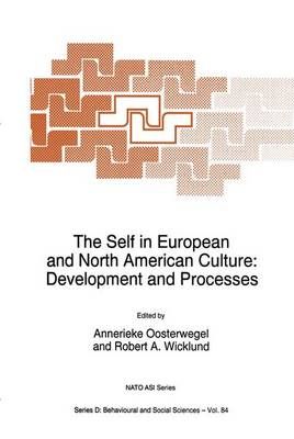 The Self in European and North American Culture 9789401041461