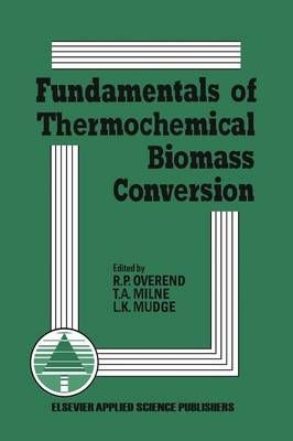 Fundamentals of Thermochemical Biomass Conversion 9789401086851