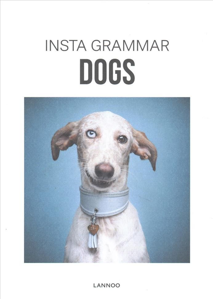 Insta Grammar Dogs By Irene Schampaert (editor) 9789401441605