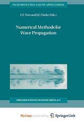 Numerical Methods for Wave Propagation 9789401591386 (Paperback)