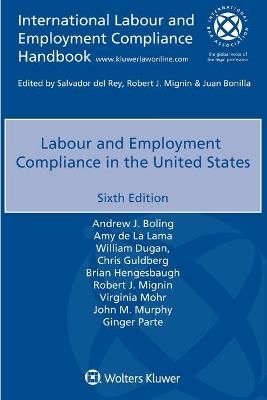 Labour and Employment Compliance in the United States 9789403528137