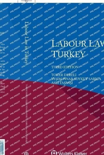 Labour Law in Turkey 9789403534060 (Paperback)