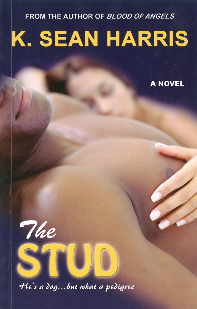 The Stud By K. Sean Harris 9789769530331 (Paperback)