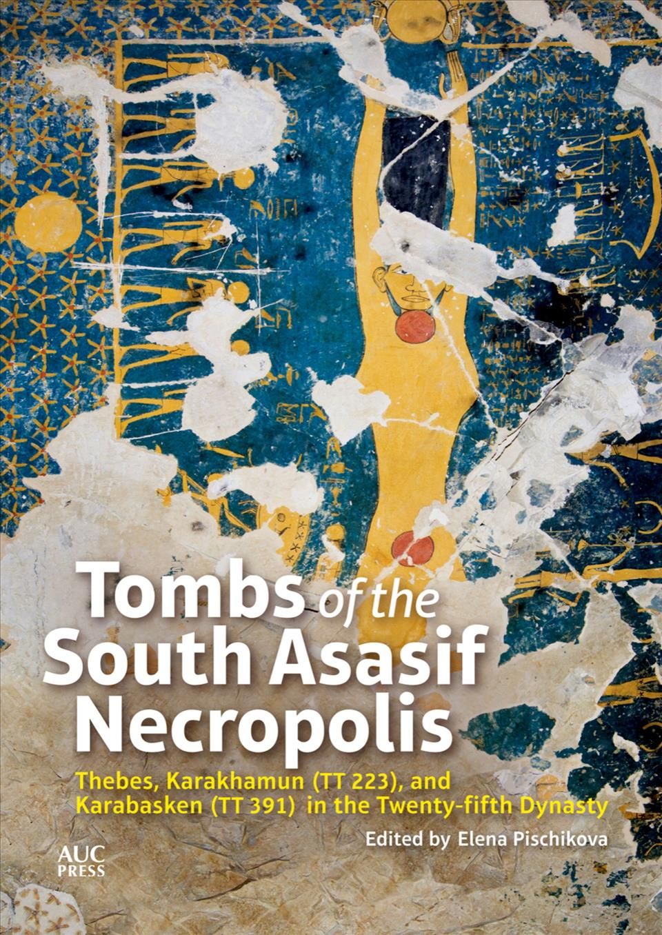 Tombs of the South Asasif Necropolis By Elena Pischikova (editor)