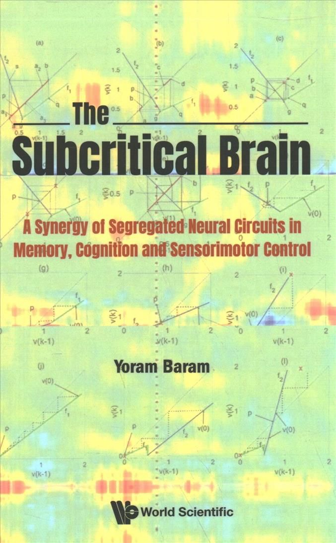 The Subcritical Brain By Yoram Baram 9789811233098 (Hardback)