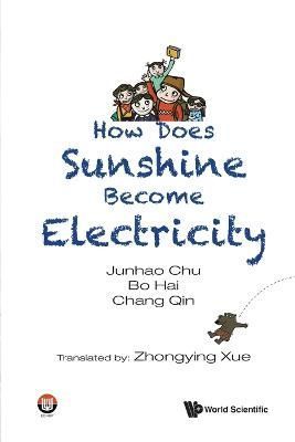 How Does Sunshine Become Electricity 9789811246852 (Paperback)